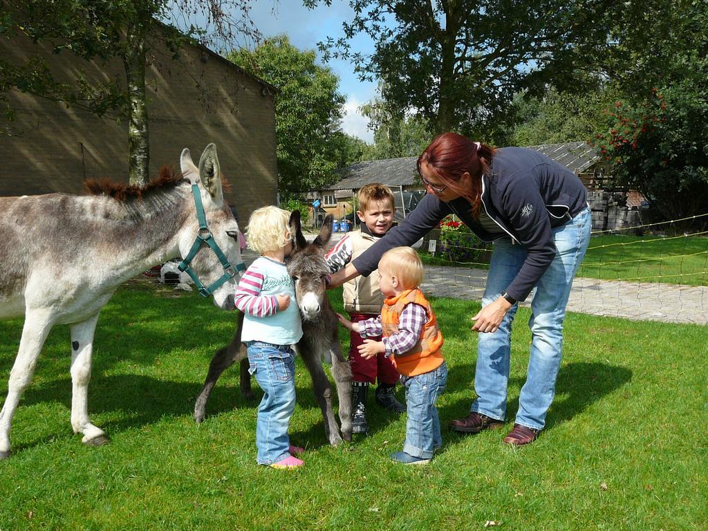 זילנד Recreational Farm Camping De Kreitsberg מראה חיצוני תמונה